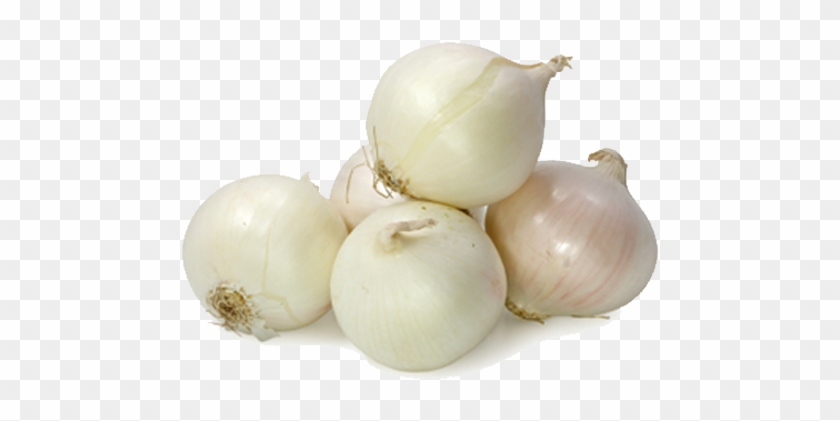 ಮನೆಮದ್ದು- ಬೆಳ್ಳುಳ್ಳಿ
