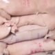 Karnataka ration rice smuggling raid with seized rice bags and trucks