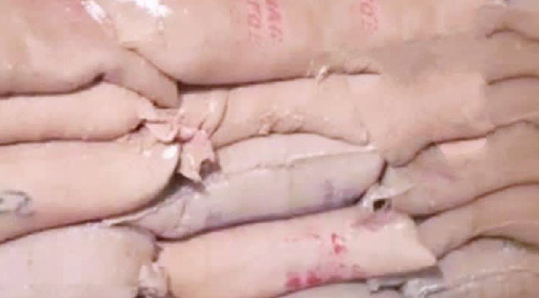 Karnataka ration rice smuggling raid with seized rice bags and trucks