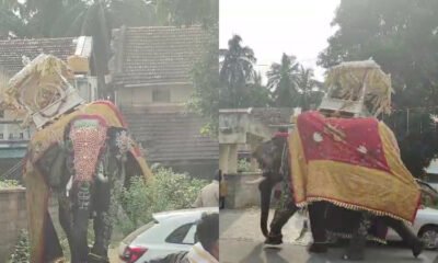 Somanna elephant carrying a 450 kg silver ambari during Shivamogga Dasara Jamboo Savari.