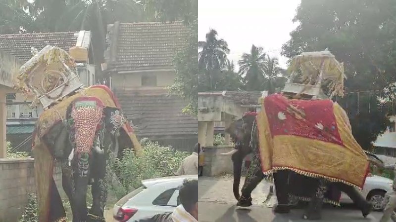 Somanna elephant carrying a 450 kg silver ambari during Shivamogga Dasara Jamboo Savari.