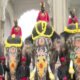 Mysuru Dasara elephants led by Captain Prashanth returning to their camps after the festival