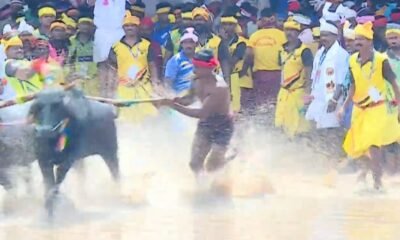DK Shivakumar shares a video of the traditional Kambala buffalo race at Mysuru Dasara 2026.
