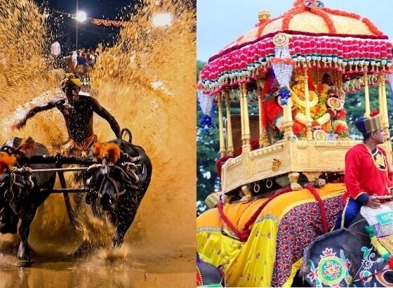Yaduveer Wadiyar comments on Kambala event during Mysuru Dasara