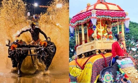 Yaduveer Wadiyar comments on Kambala event during Mysuru Dasara