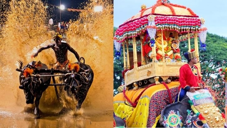 Yaduveer Wadiyar comments on Kambala event during Mysuru Dasara