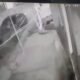 Hyderabad hit and run car accident involving workers in Kushaiguda