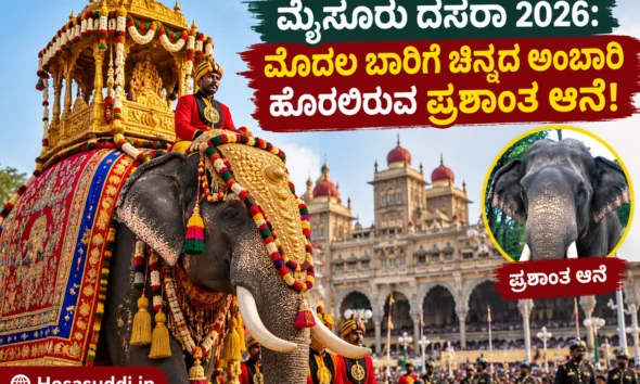 Prashantha elephant selected to carry the golden howdah at Mysore Dasara 2026