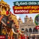 Prashantha elephant selected to carry the golden howdah at Mysore Dasara 2026