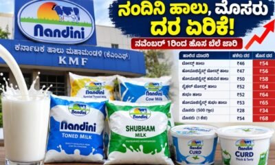 Nandini milk packets and curd with revised prices in Karnataka from November 1