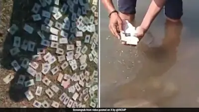 Voter ID cards recovered from the Narmada riverbank in Mandleshwar, Madhya Pradesh