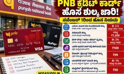 Punjab National Bank Visa and RuPay credit card new service charges from November 1 2026